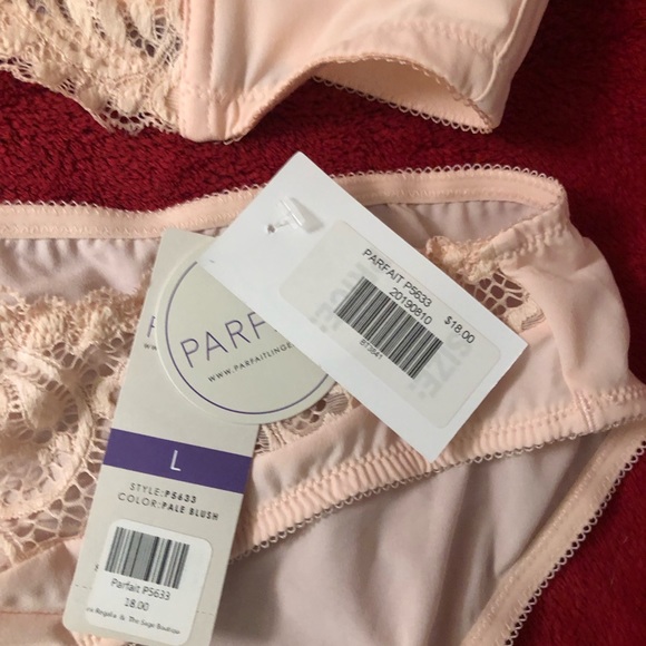 Parfait Lingerie Pale Blush Bra & Panty Set - Size 38E/Large - New With Tags - Picture 9 of 9